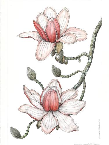 Print of Botanic Digital by Hemlata Pradhan