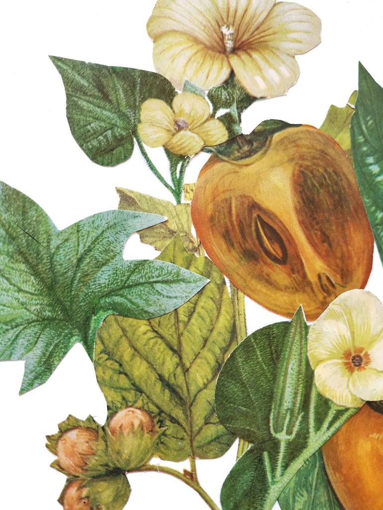 Original Fine Art Botanic Collage by Gallery Mamonov