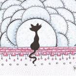 Collection Sin cuenta gatos