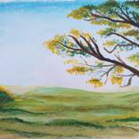 Collection Horizontes lejanos