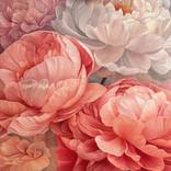 Sensual Pink by Anastasiia Alokhina