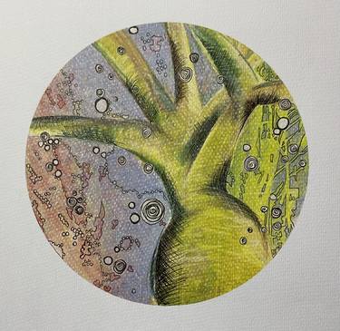 Original Nature Mixed Media by Bernadine Anning