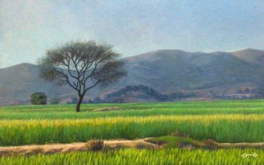 Original Realism Landscape Paintings by Adeela Zahid