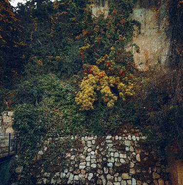 Old wall in Jerusalem thumb