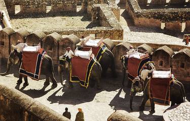 Red elephants in Jaipur I thumb