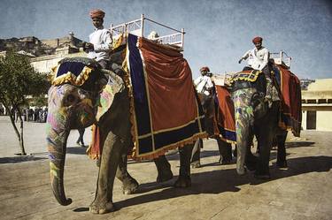 Red elephants in Jaipur II thumb