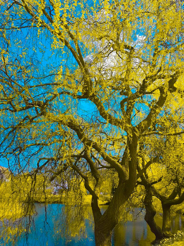 Original Landscape Photography by Vht Interiors Art | Art Deco Art on Paper | By the lake