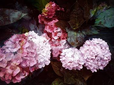 Original Fine Art Floral Photography by VHT Interiors Art