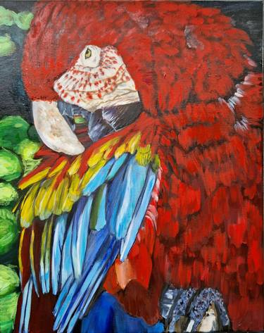 Colourful parrot macaw oil painting "the messenger" thumb