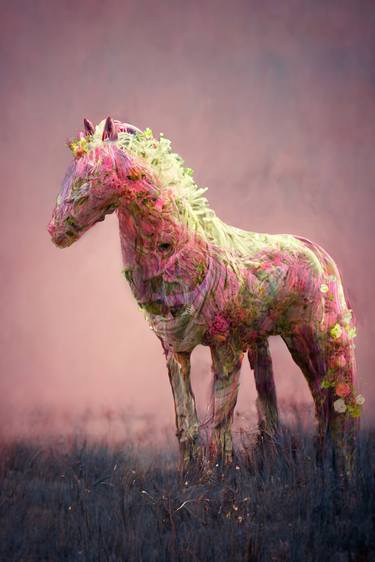Surreal horse on limeade pink background thumb