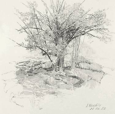 Print of Documentary Landscape Drawings by Igor Nevsky