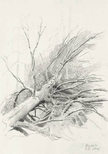 Original Documentary Landscape Drawing by Igor Nevsky