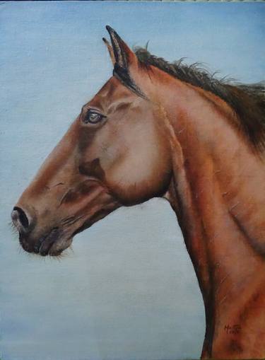 Print of Fine Art Horse Paintings by Manju S