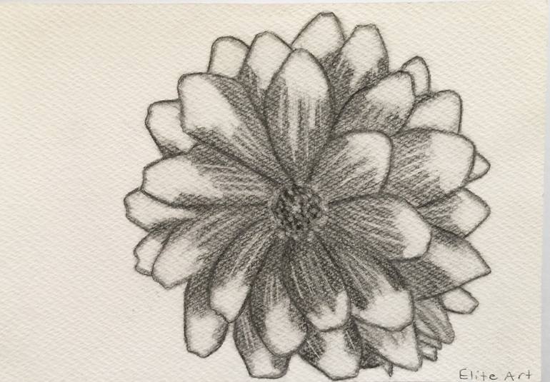 realistic flower sketch