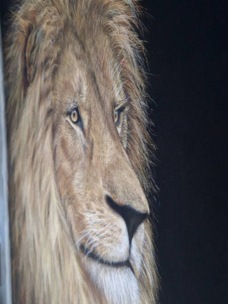 Original Realism Animal Drawing by Kate Zale