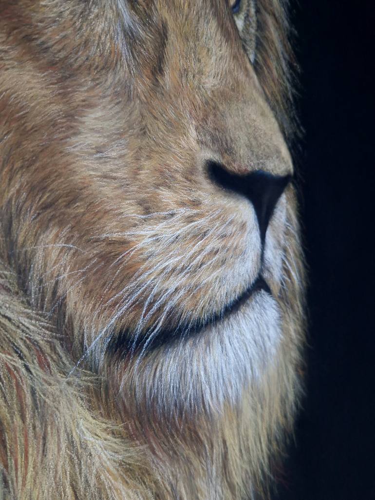 Original Realism Animal Drawing by Kate Zale