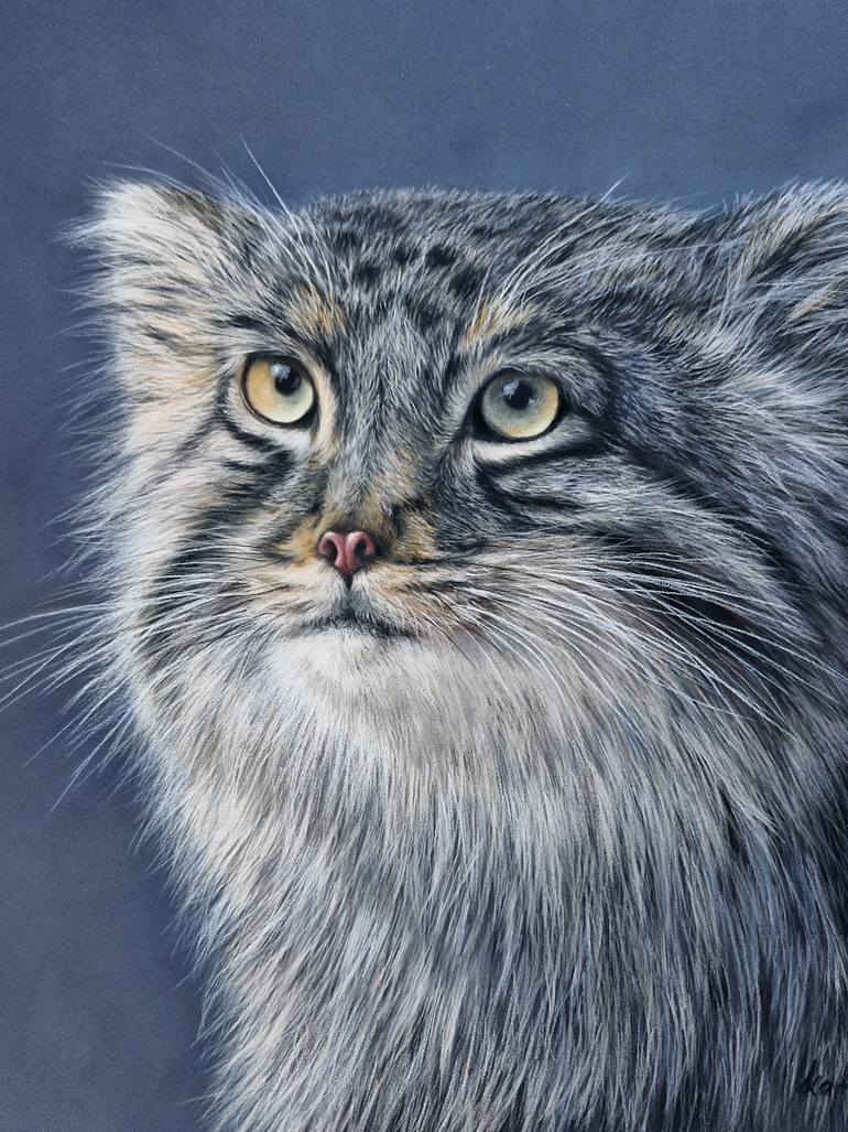 Original Realism Animal Drawing by Kate Zale