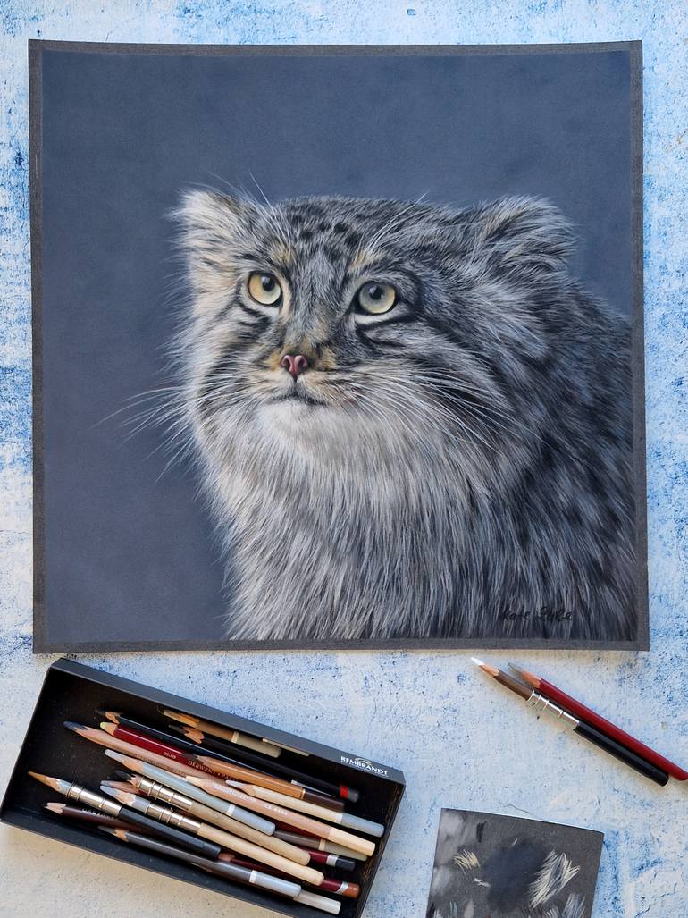 Original Realism Animal Drawing by Kate Zale