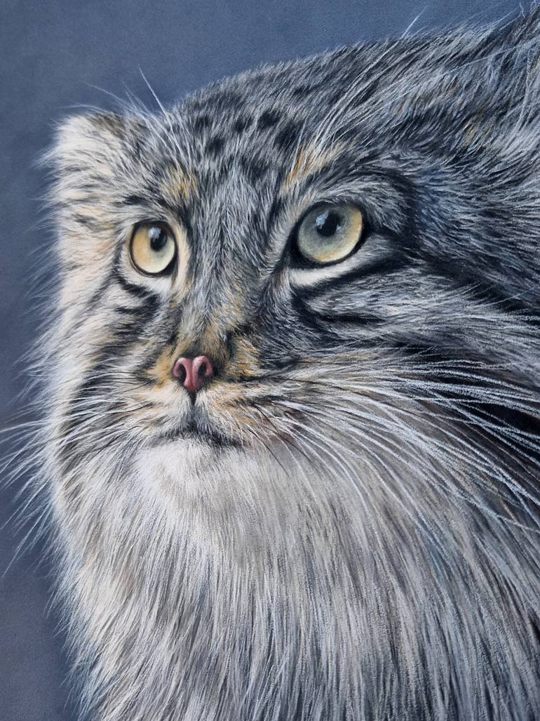 Original Realism Animal Drawing by Kate Zale