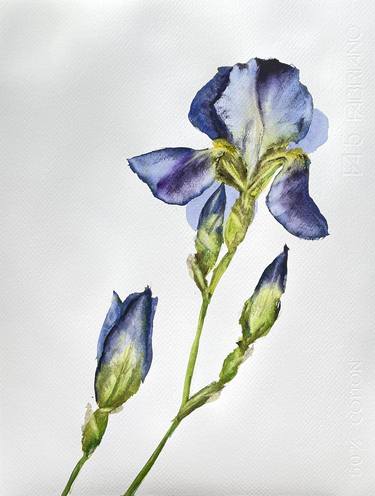 Print of Floral Paintings by Sofiia Kulichkova