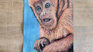 Monkey Capuchin Acrylic Painting Unframed Home Decor Animal Art thumb
