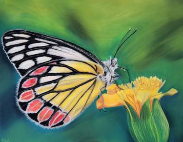 Pastel Butterfly Animal Art Butterfly Painting thumb