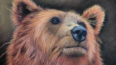 Bear Framed Pastel Painting Animal Art Wildlife Art thumb