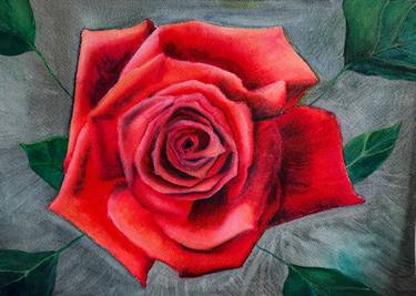 Original Floral Paintings by Vics Art