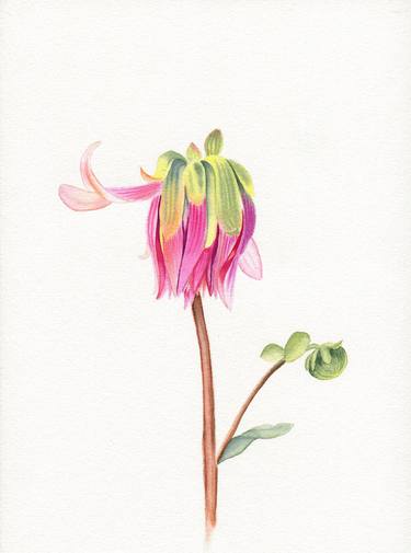 Print of Realism Floral Paintings by Olha Shulhina