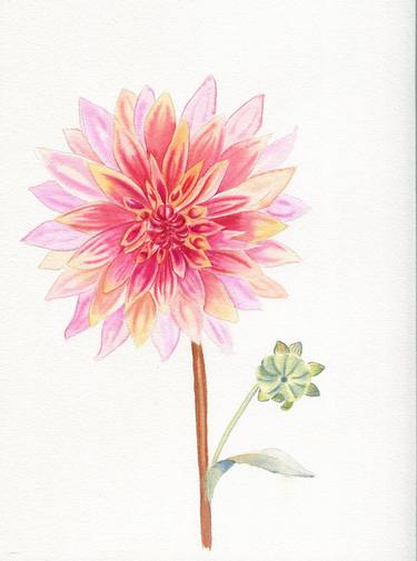 Dahlia flower thumb