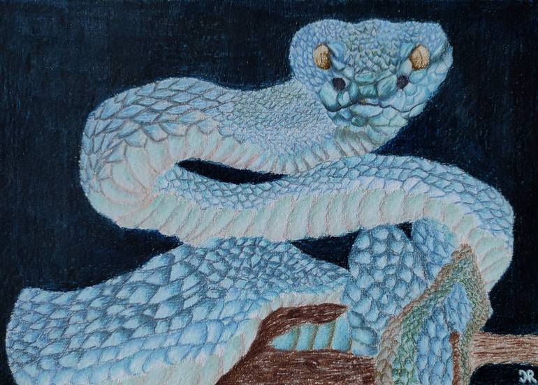 Serpent Bleu Drawing by Noémie Richard | Saatchi Art