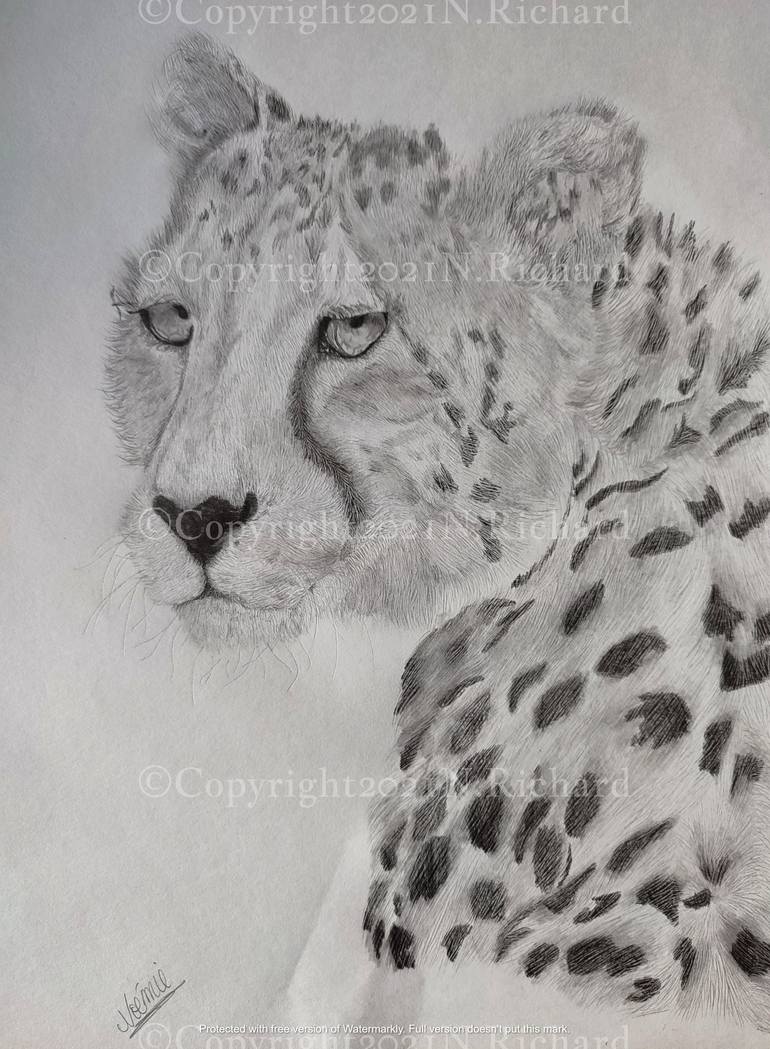 Guépard Drawing by Noémie Richard | Saatchi Art