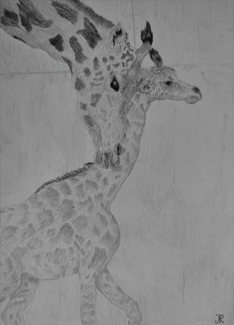 Girafe et son petit Drawing by Noémie Richard | Saatchi Art