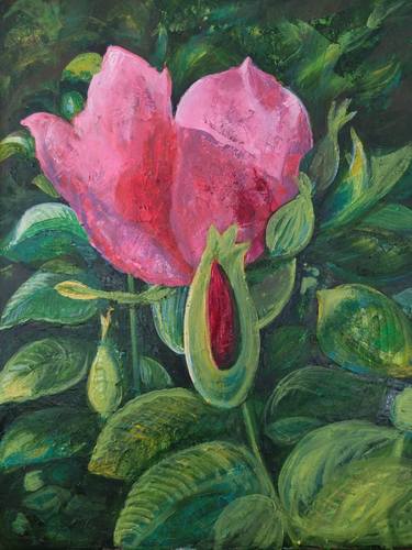 Original Botanic Paintings by Solomiia Kulchytska