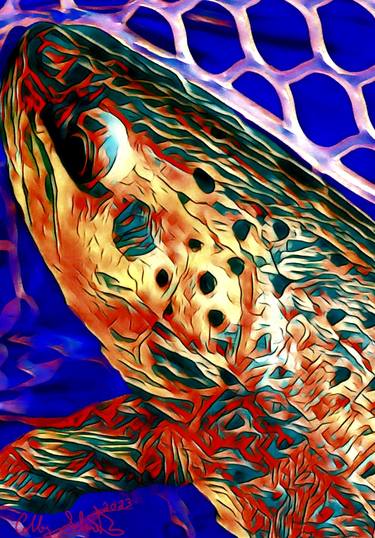 Print of Abstract Fish Photography by Colby Schmitz