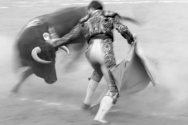 Peruvian Bullfight VIII thumb