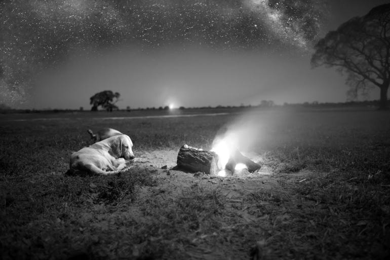 Fotógrafo Izan Petterle revela as Paisagens do Pantanal em chamas - A Lente