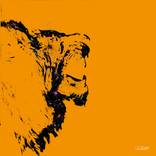 Lion - Limited Edition of 1 by Andruet Patrick