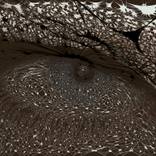 eyes - Limited Edition of 10 by Andruet Patrick