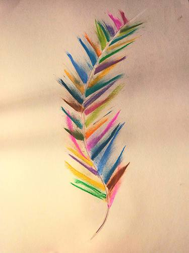 The Coloured Feather thumb