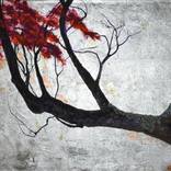 acer palmatum by gaby roter