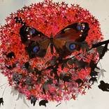 circle of life by gaby roter