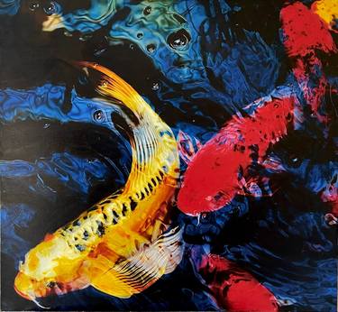 Original Photorealism Fish Paintings by Anthony Kolens