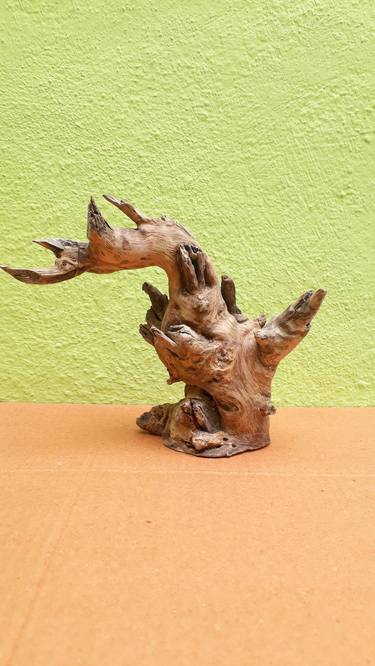 Rustic Swan Teak Driftwood sculpture thumb