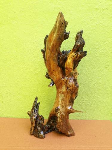 Driftwood Sculpture Desert Tree _ Made by Teak Wood thumb