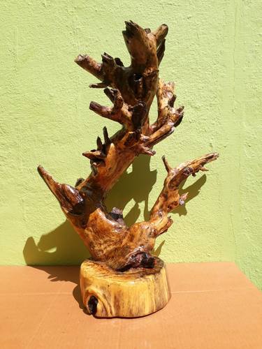 Driftwood Sculpture Modern Wood Art Teak Wood 50 CM Height thumb