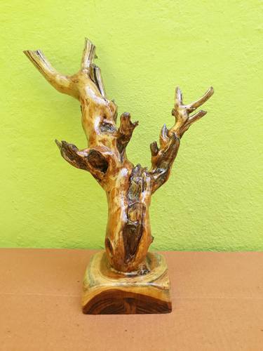 Driftwood Dead Tree look Branch Sculpture (Complete Teak Wood) thumb