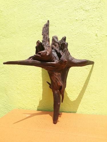 Driftwood Sculpture _Original Tree Older wood sculpture thumb