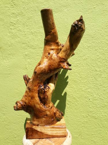Driftwood Sculpture thumb