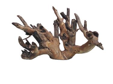 Teak Wood Branch Decorative Natural wood sculpture thumb